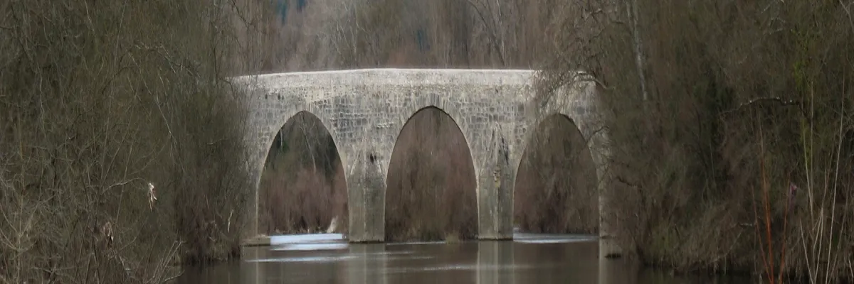 image-installateur-carport-solaire-la-roque-sur-ceze.webp Image Installateur carport solaire La Roque-sur-Cèze