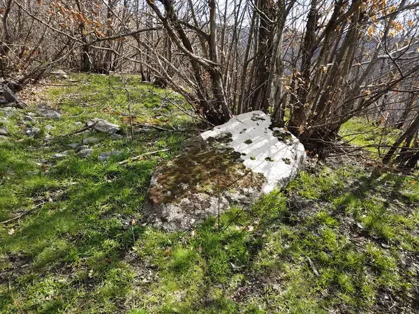 Carport Solaire 30 Installateur carport solaire Arrigas