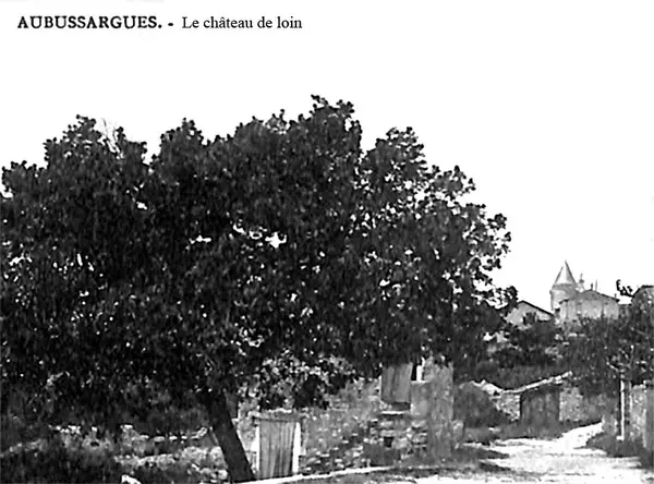 Carport Solaire 30 Installateur carport solaire Aubussargues